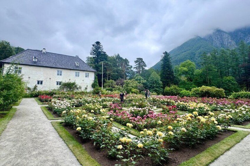 A garden with a variety of flowers and a building in the background. 2