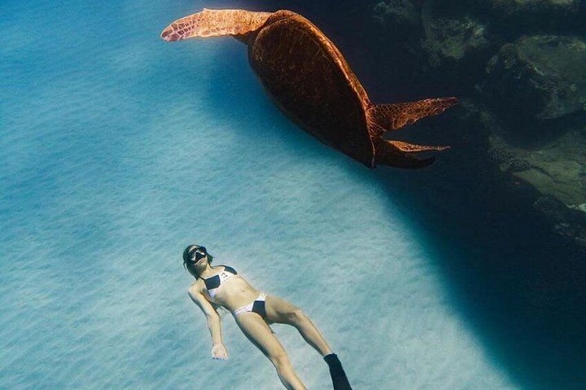 En person som snorklar med en havssköldpadda i klart, blått vatten. 2