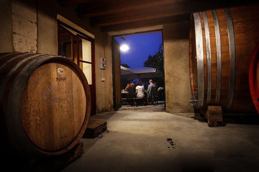 Wine Tasting with Panoramic View 3