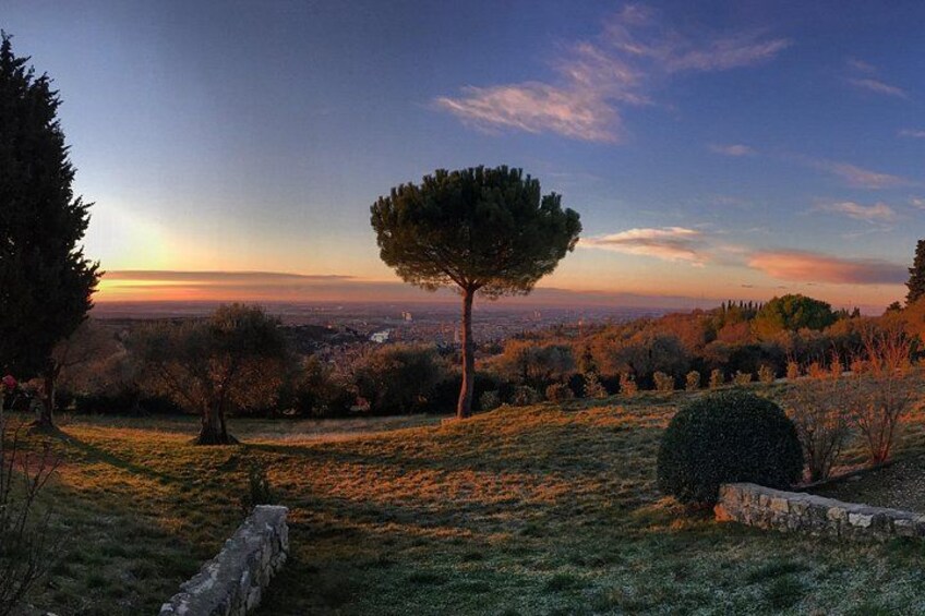Wine Tasting with Panoramic View 2