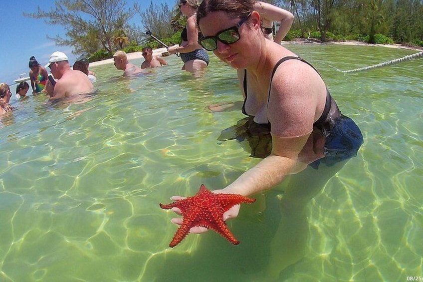 Lady holding Starfish in Grand Cayman after tour at Stingray City 2