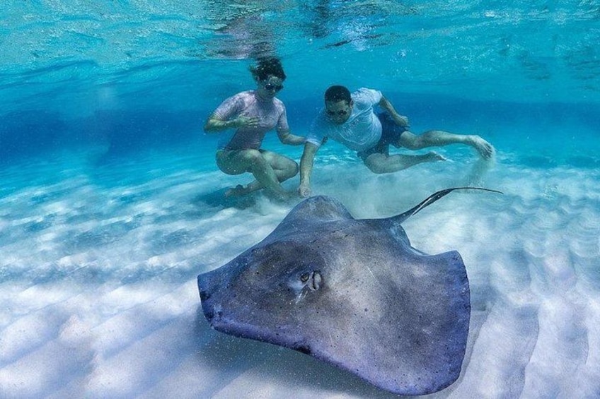 Image owned by Stingray City Cayman Islands Ltd. 2