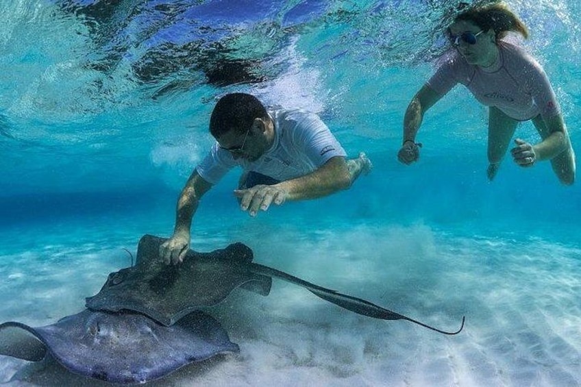 Stingray City in Grand Cayman - Photo by Stingray City Cayman Islands Ltd 5