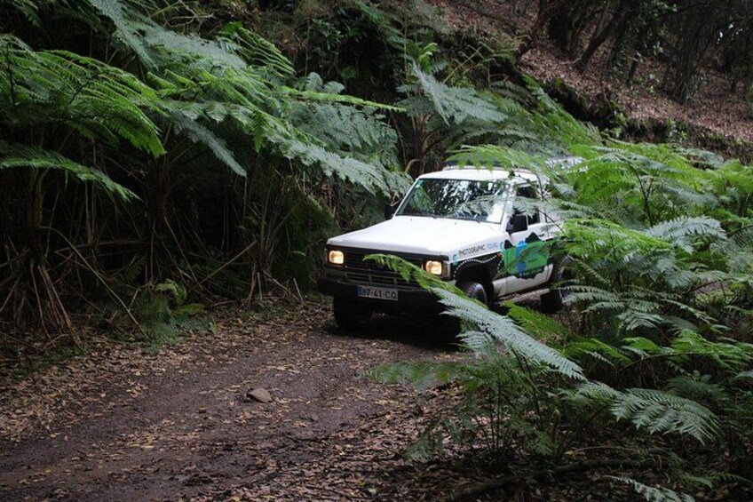 Some of the places we will visit you'll feel we are visiting Jurassic Park movie scenes! 4