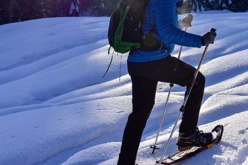 A person skiing on snow with poles, wearing a backpack, and dressed in a blue jacket and black pants. 4