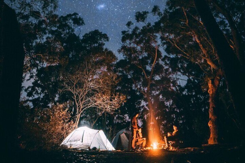 Yosemite Classic Camping Trips 1