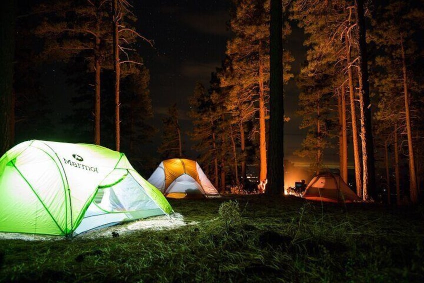 Yosemite Classic Camping Trips 4
