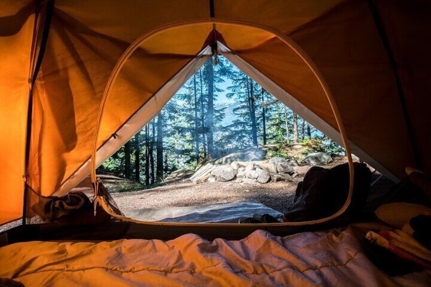 Yosemite Classic Camping Trips 3