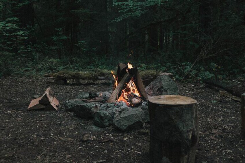 Yosemite Classic Camping Trips 2