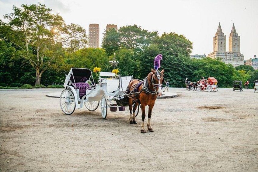 Een koets getrokken door paarden met een paars interieur, een paard met een paars veertje op zijn hoofd, en een stadsgezicht met hoge gebouwen op de achtergrond. 2