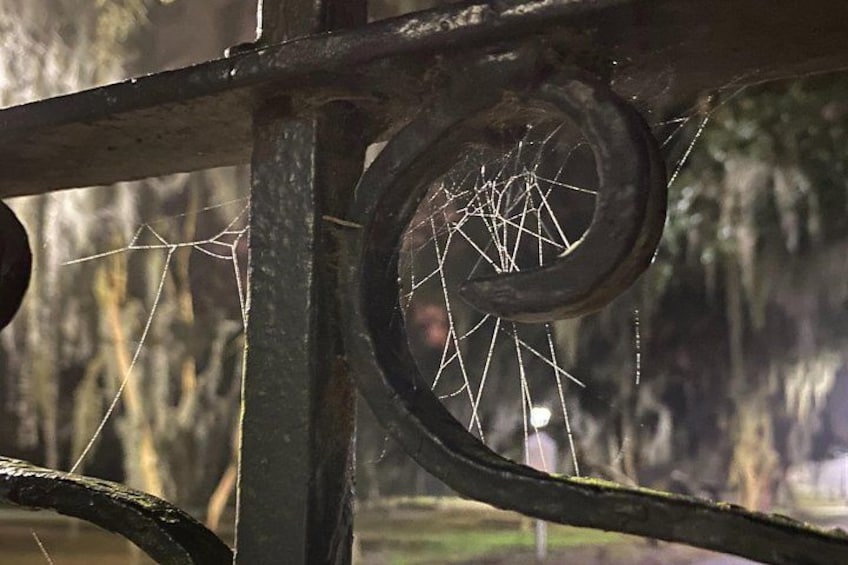 A metal structure with a circular design, possibly part of a fence or gate, with a spider web in the center. 4