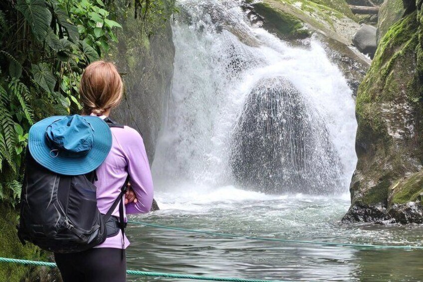 Full-Day Mindo Cloud Forest Tour Birdwatching Waterfalls and Hike 2
