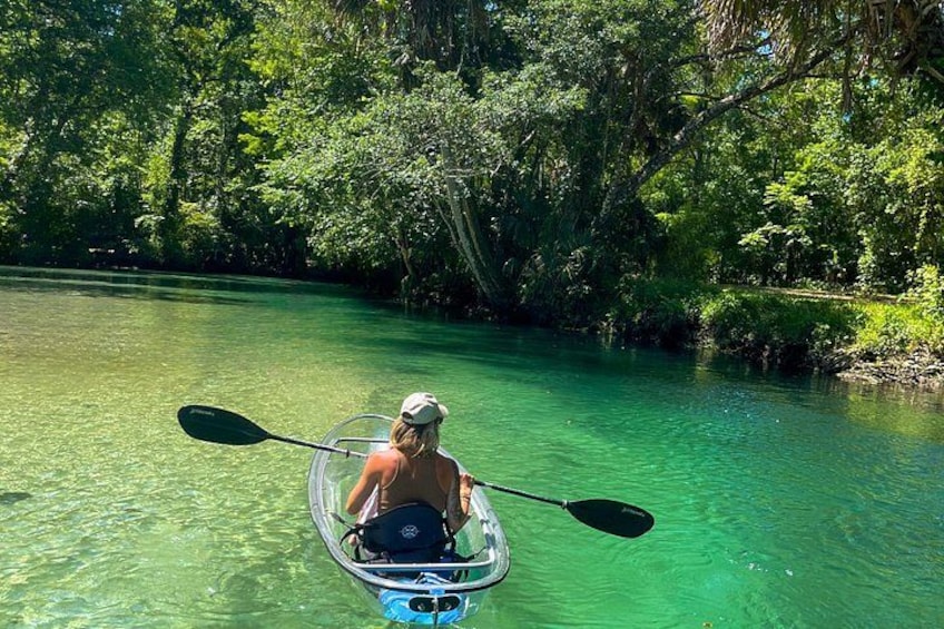 Clear Kayak Tours in Weeki Wachee 4