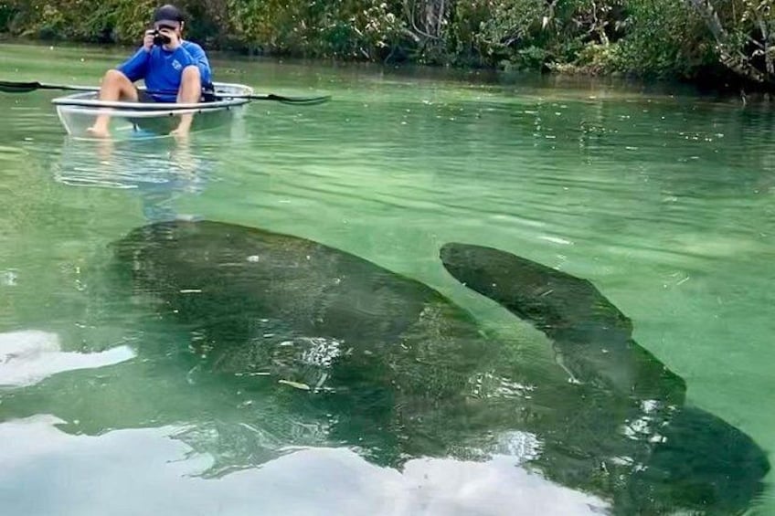 Clear Kayak Tours in Weeki Wachee 1