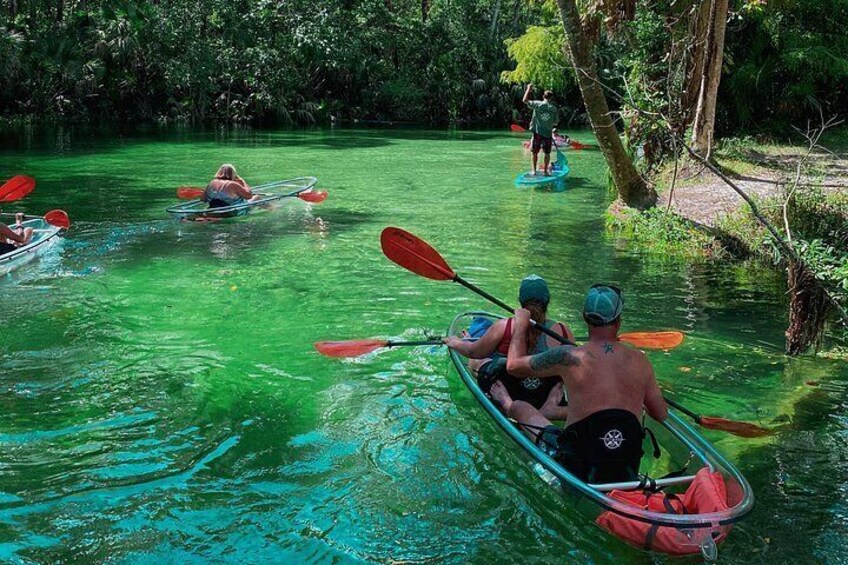 Clear Kayak Tours in Weeki Wachee 3