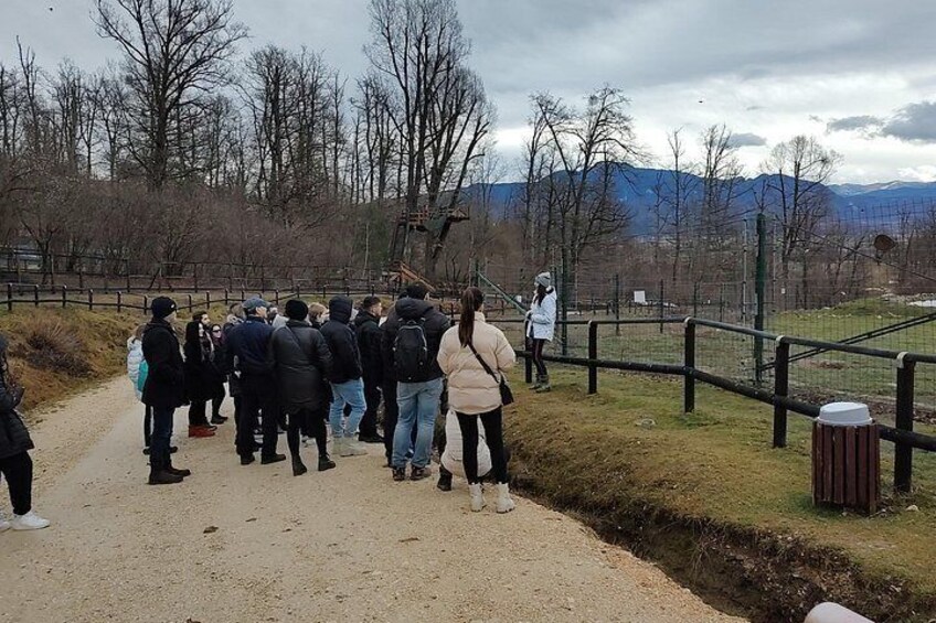 A group of people standing on a dirt path, a fence, and a grassy area with trees and mountains in the background. 5
