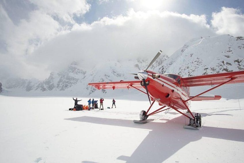 Denali Flyer Flightseeing Tour from Talkeetna 1