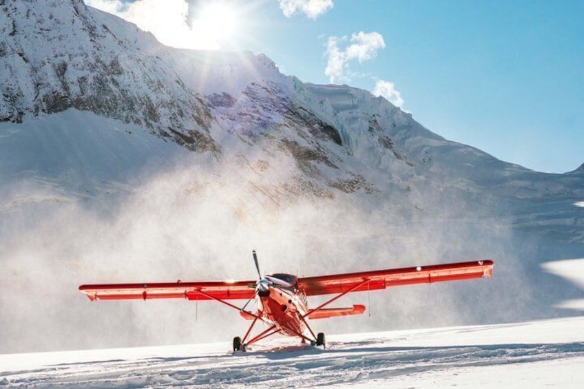 Denali Experience Flightseeing Tour from Talkeetna 1