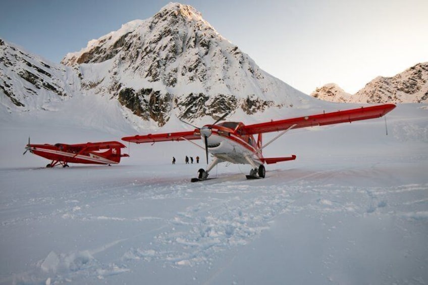 Denali Experience Flightseeing Tour from Talkeetna 4
