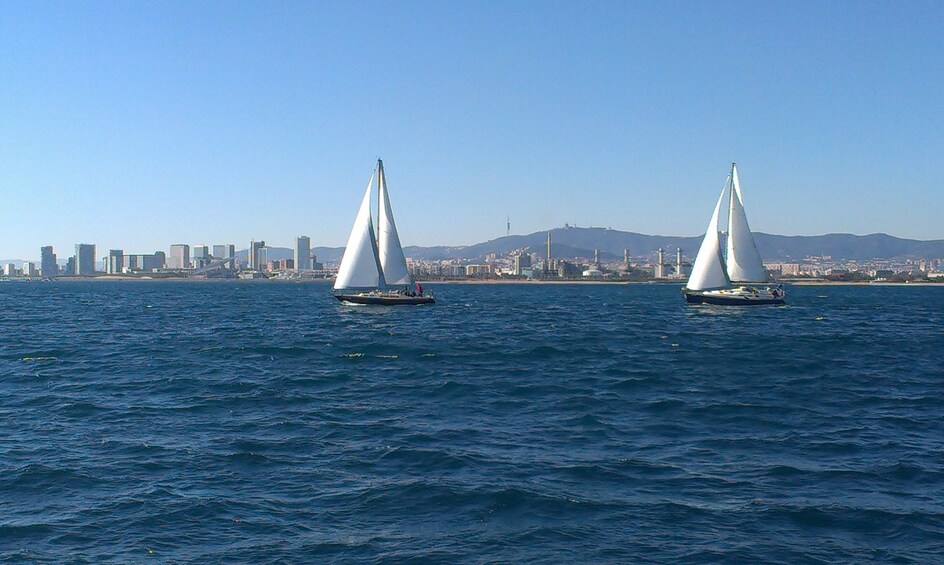 Combo Tour: Montserrat Half-Day Tour & Sailing Cruise 2