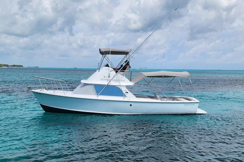 Private Snorkeling or Fishing from Nassau - 31ft Sitting Pretty 1