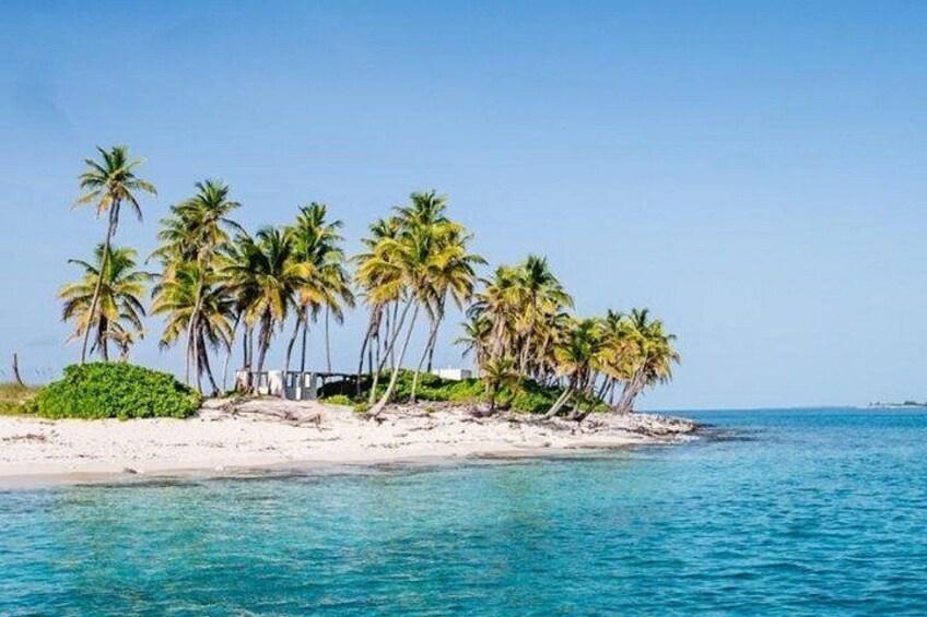 A beach with palm trees and a clear blue sea. 2