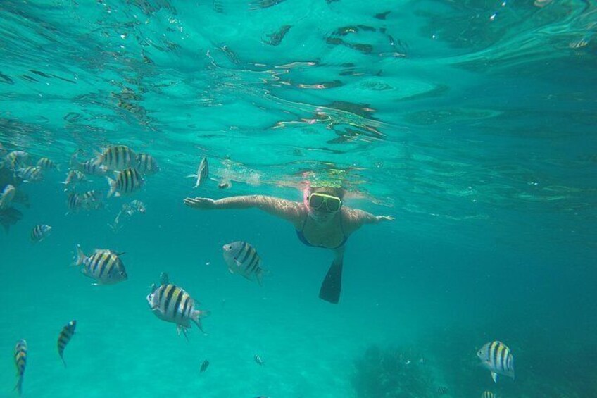 Snorkel at a beautiful reef. 5