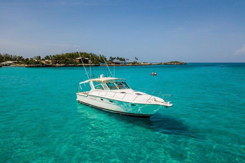 Private Snorkeling or Fishing in Nassau - 38ft Freestyle 1