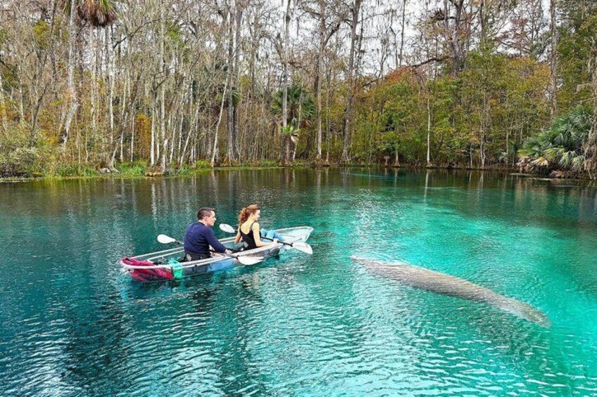 Dos personas en una canoa sobre un río turquesa rodeado de árboles. 3