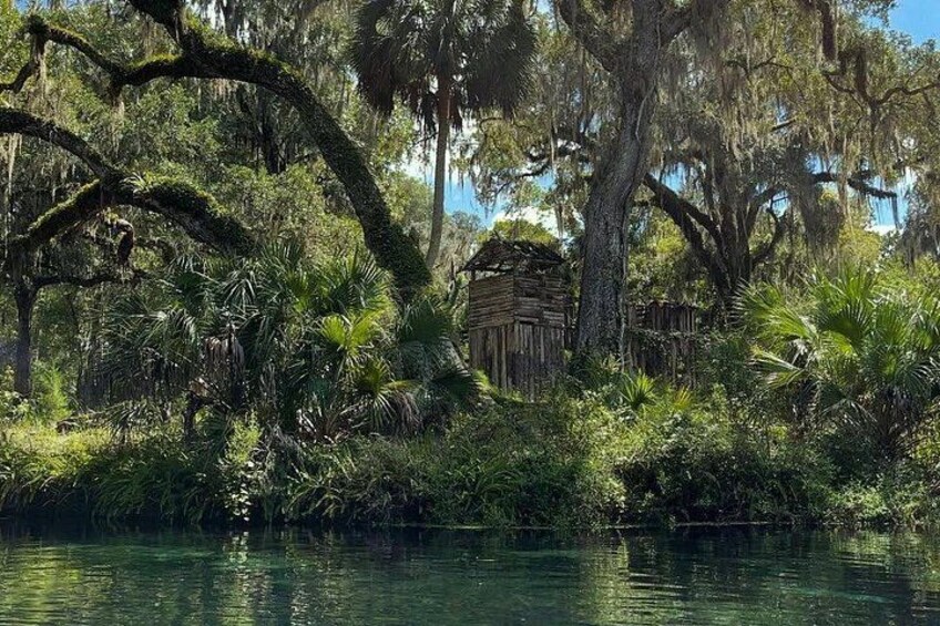 Silver Springs 2-Hour Glass Bottom Guided Kayak Eco Tour 2