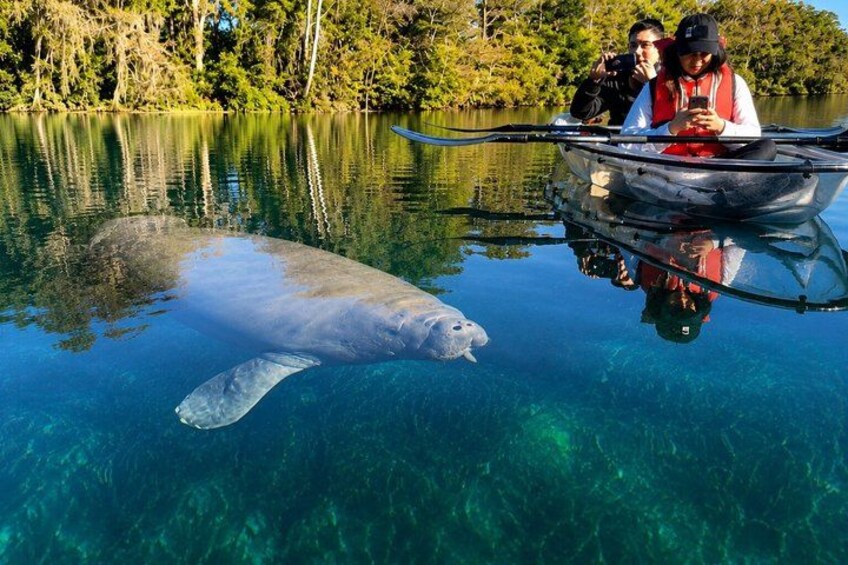 A manatee swimming near a boat with two people on board. 1