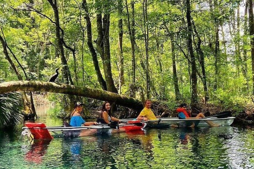 Silver Springs 2-Hour Glass Bottom Guided Kayak Eco Tour 3