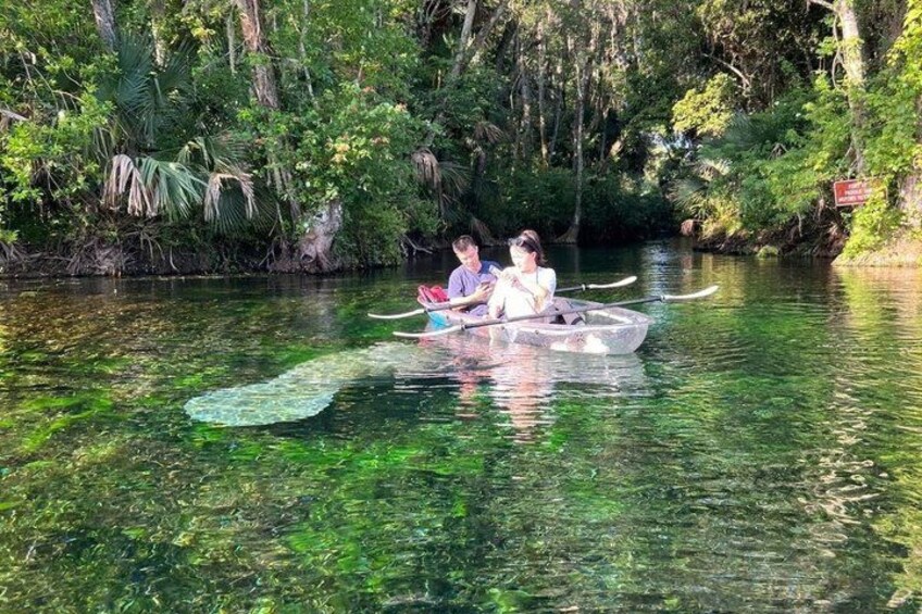 Un río con aguas cristalinas, rodeado de abundante vegetación y árboles. 2