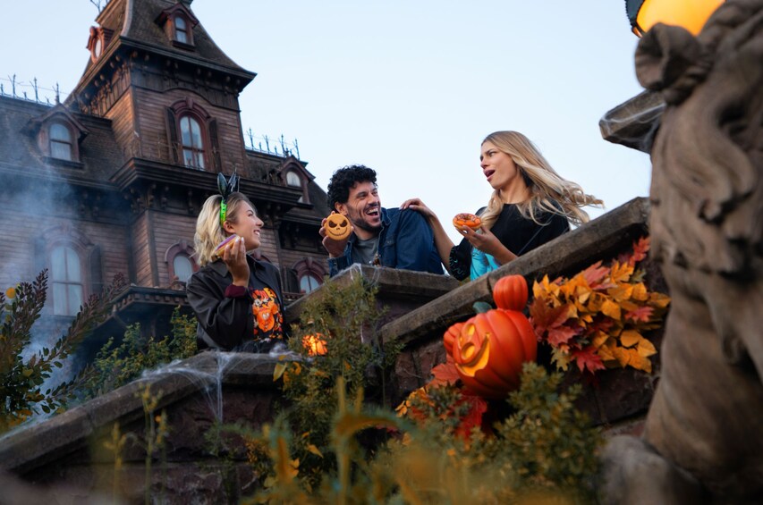 Disneyland® Parks with Optional Transport from Paris 3