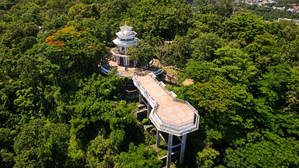 A pagoda surrounded by dense forest. 3
