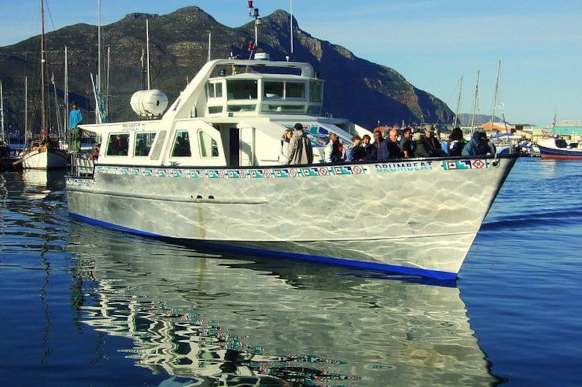 #1 Boulders Penguins & Cape Point Full Day Tour with Pickup 2