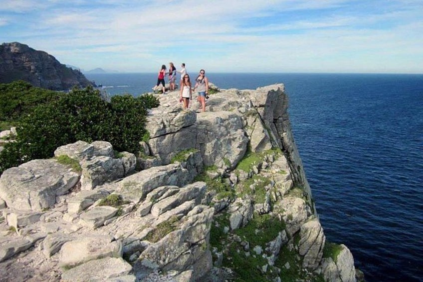 #1 Boulders Penguins & Cape Point Full Day Tour with Pickup 3