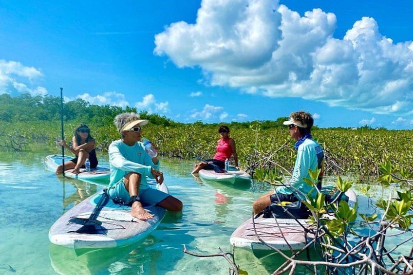 Turtle Eco Tour on Stand-Up Paddleboards or Kayaks into the National Marine Park 3