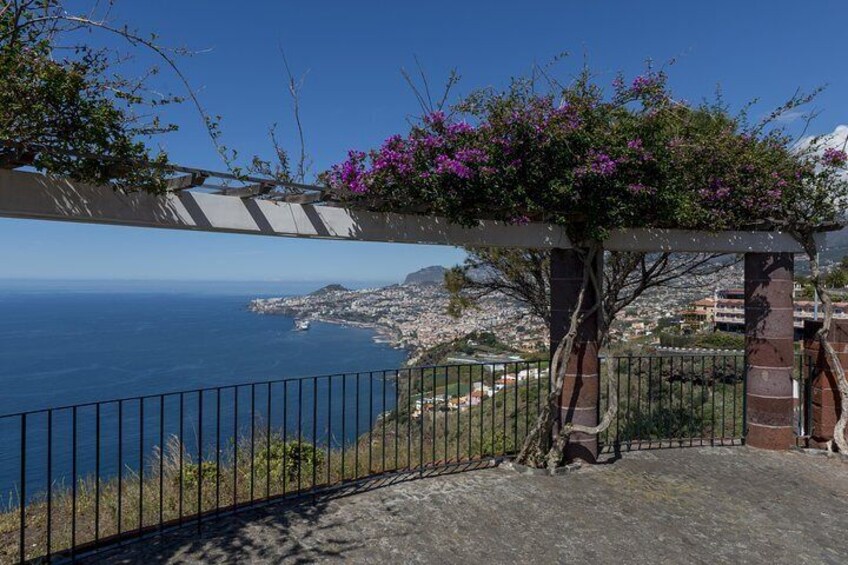 Un paysage urbain côtier offrant une vue dégagée sur la mer, avec une clôture en métal et un arbre en fleurs. 3