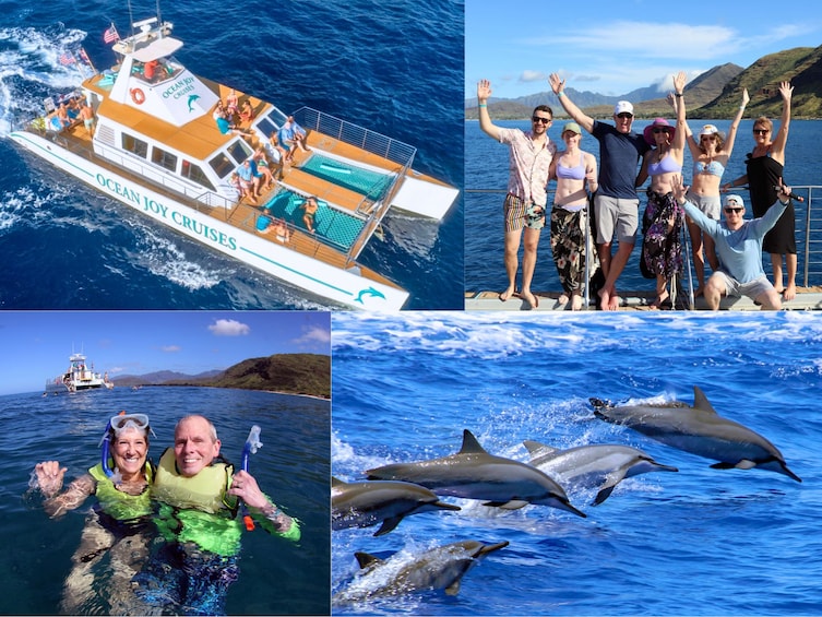 Premium Snorkeling Cruise, Buffet and Dolphin Watch- AM, PM or Sunset 1
