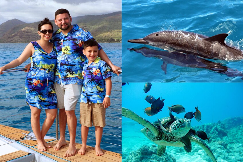 Premium Snorkeling Cruise, Buffet and Dolphin Watch- AM, PM or Sunset 1