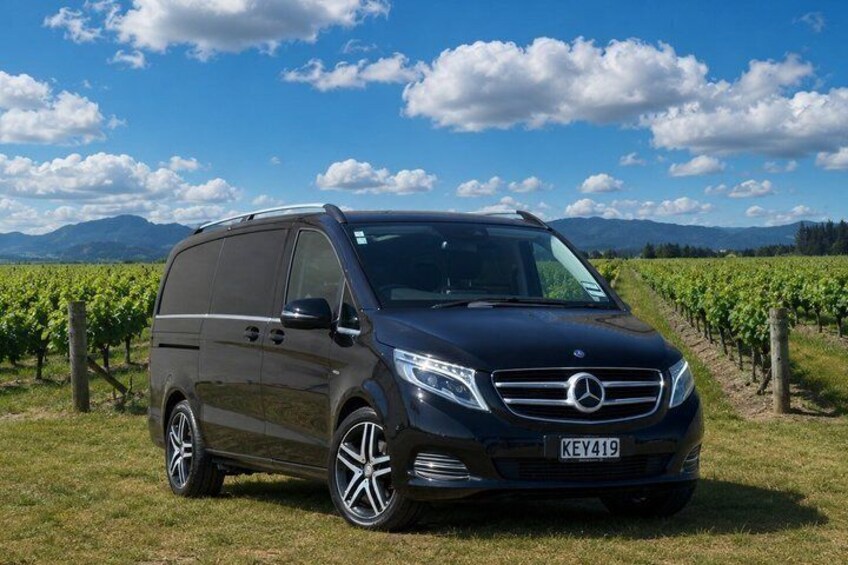 A Mercedes-Benz van parked in a vineyard with mountains in the background. 3