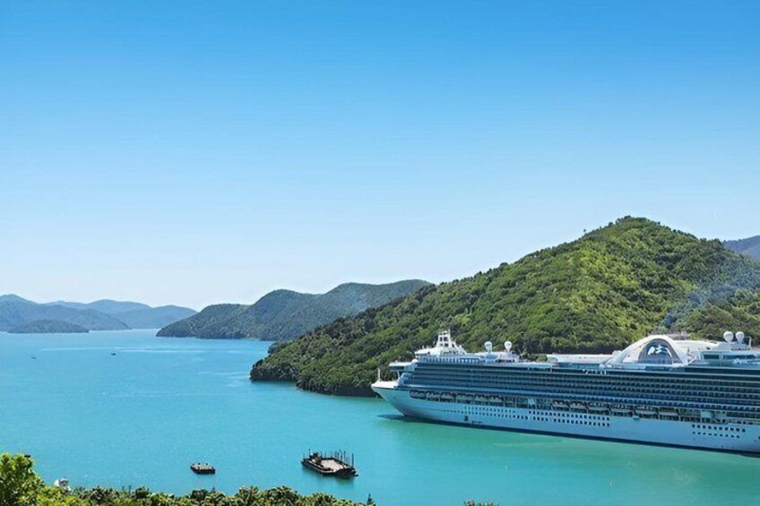 Picton Cruise Ship Shore Excursion Marlborough Wine Tour 1