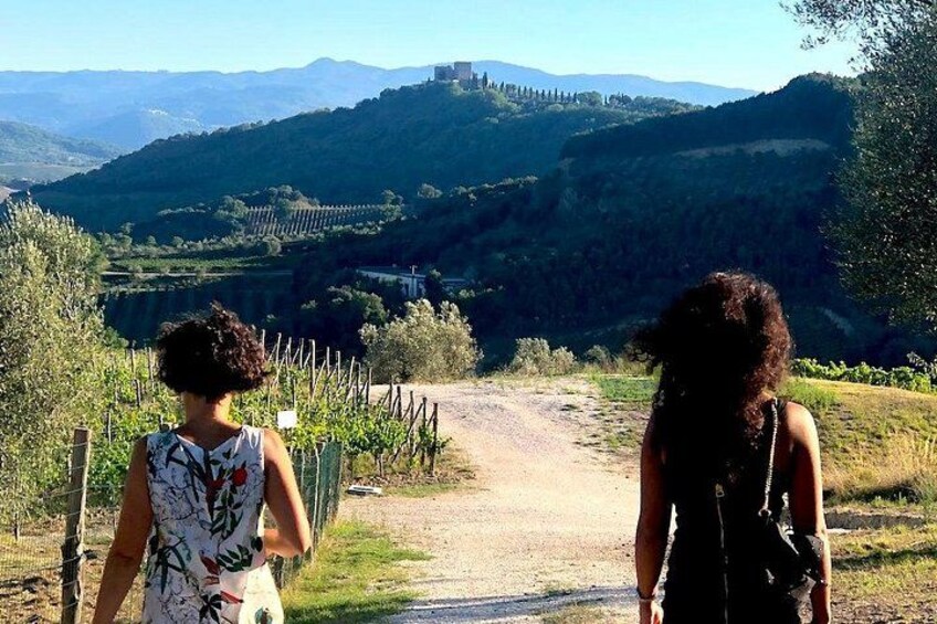The view of Southern Tuscany, admire che landscape of the Brunello vineyards 4