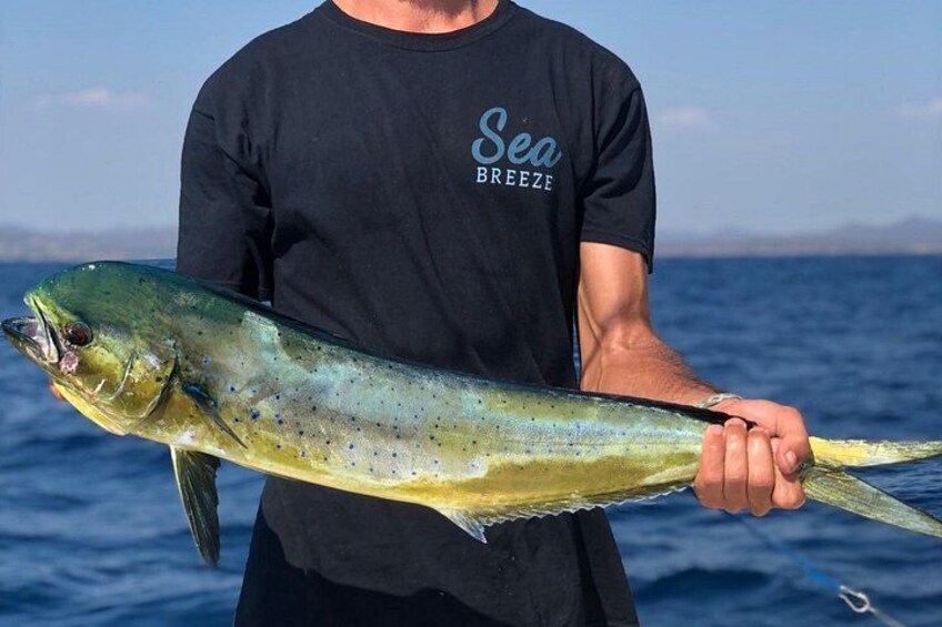 Morning Fishing Half Day Charter 4