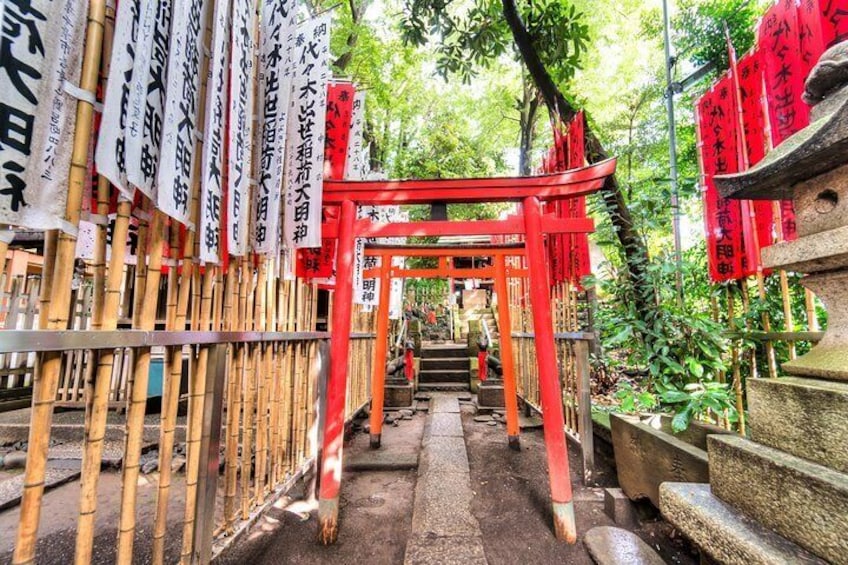 Small-Group Tokyo Biking Tour 4