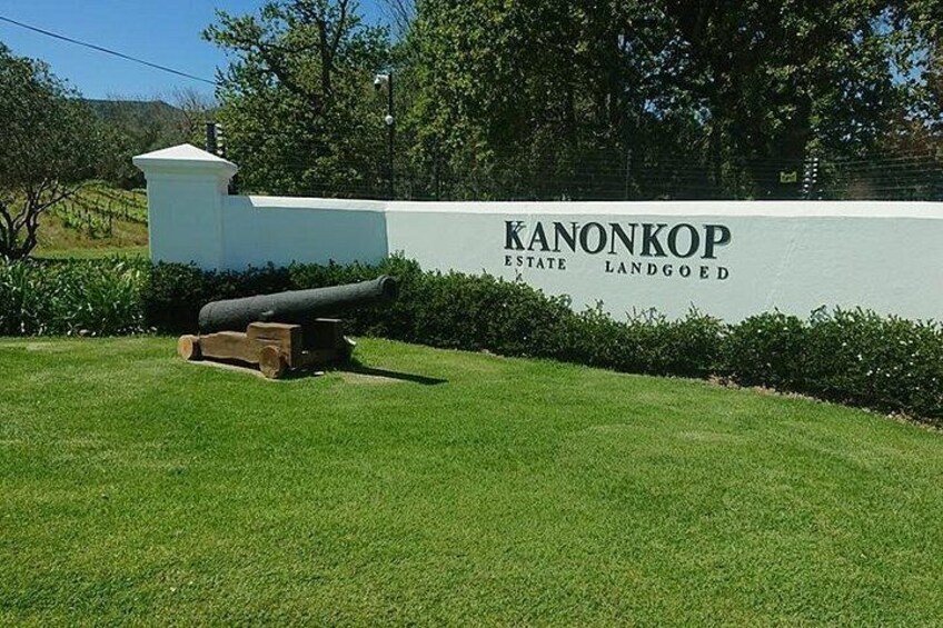 Private Wine Tour with Wine Expert to Stellenbosch-Franschhoek Wine Regions 2