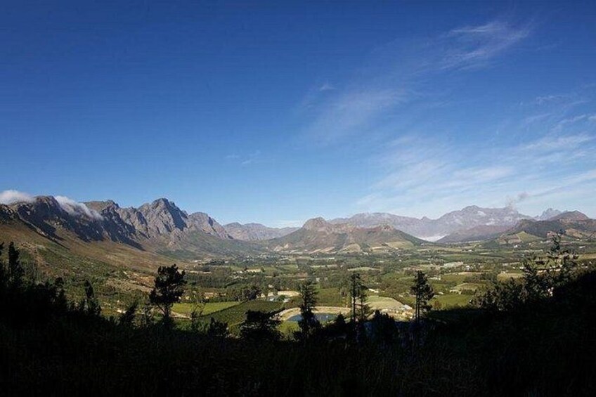 Private Wine Tour with Wine Expert to Stellenbosch-Franschhoek Wine Regions 3