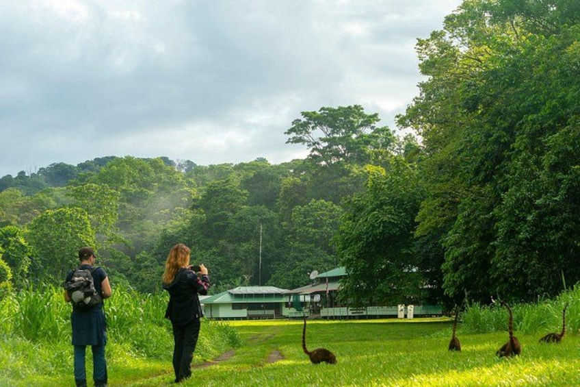 Two people walking in a grassy area with a building in the background. 1