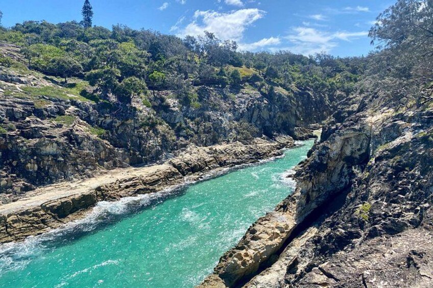 North Stradbroke Island WILDLIFE Adventure Tour from Brisbane 3